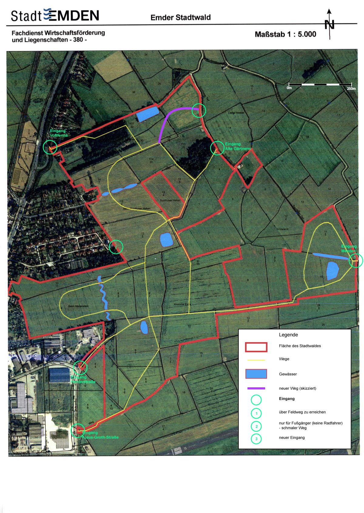 Stadtwald – Bild 3