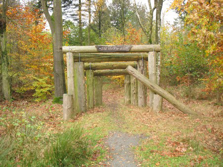 Stadtwald – Bild 4