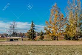 Rochdale Park – Bild 3