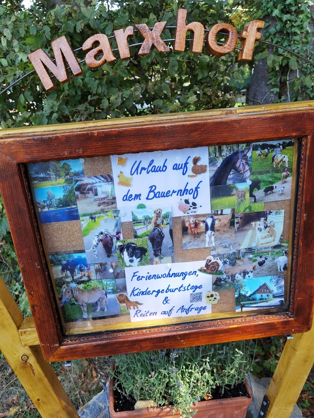 Ferienhof Marx – Bild 1