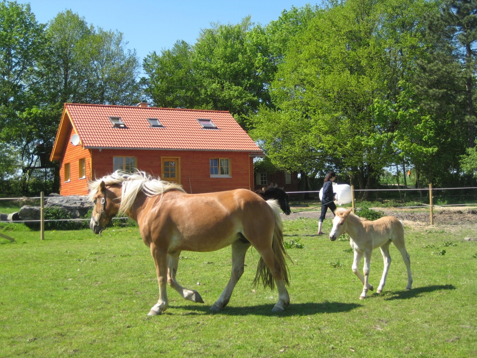 Ferienhof Marx – Bild 3