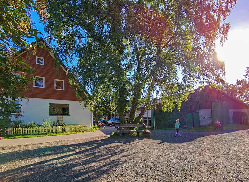 Ferienhof Marx – Bild 6