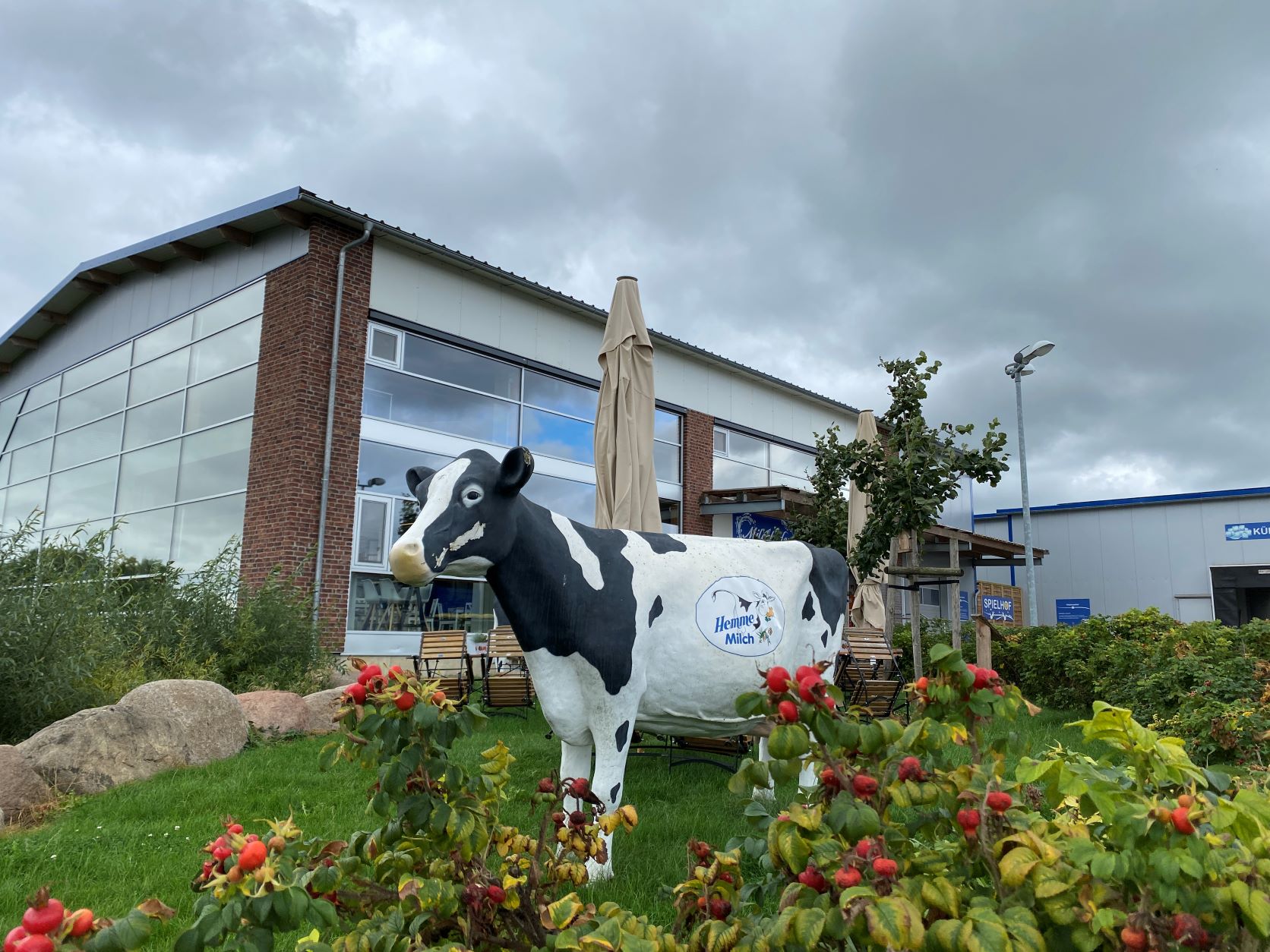 Hemme Milch GmbH & Co. KG – Bild 3