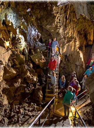 Bilsteintal: Tropfsteinhöhle und Wildpark in Warstein – Bild 3