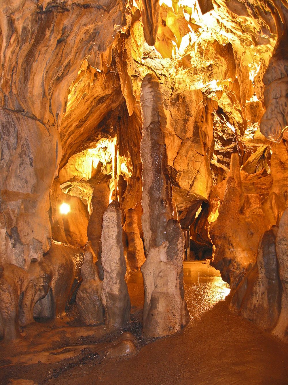 Bilsteintal: Tropfsteinhöhle und Wildpark in Warstein – Bild 4