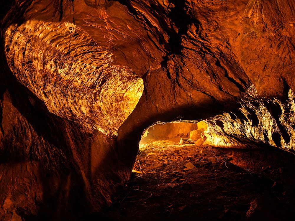 Bilsteintal: Tropfsteinhöhle und Wildpark in Warstein – Bild 6