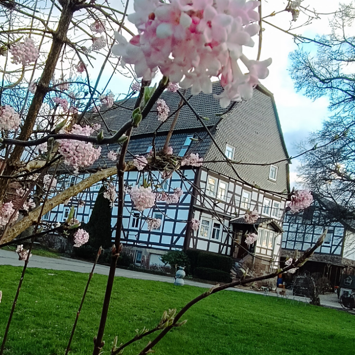 Ferienhof Papiermühle – Bild 4