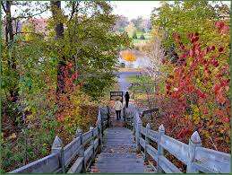 Springbank Park – Bild 2