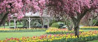 Springbank Park – Bild 5