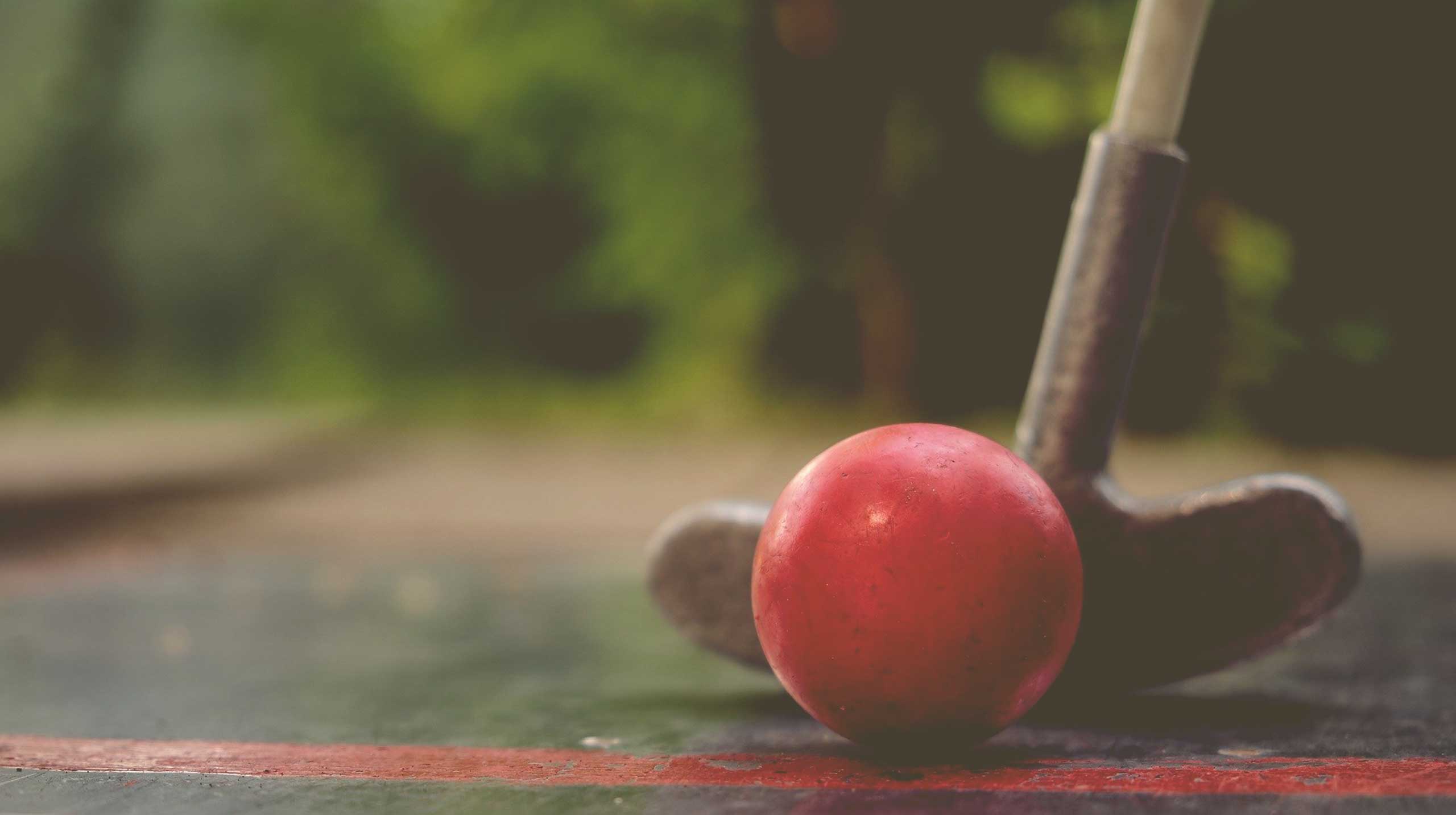 Höppi's Minigolf – Bild 4