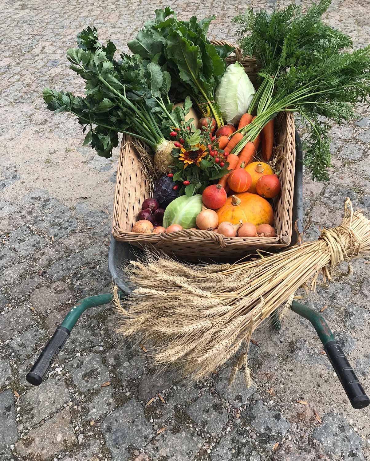 HofGut Kreuma – Bild 5