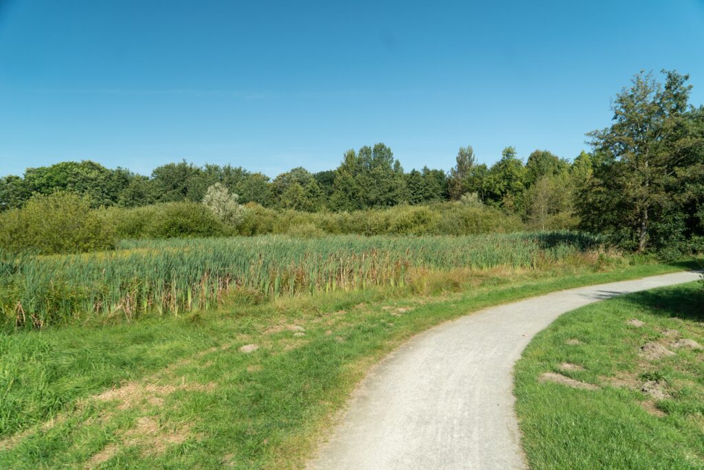 Moorwiesen Cuxhaven – Bild 3