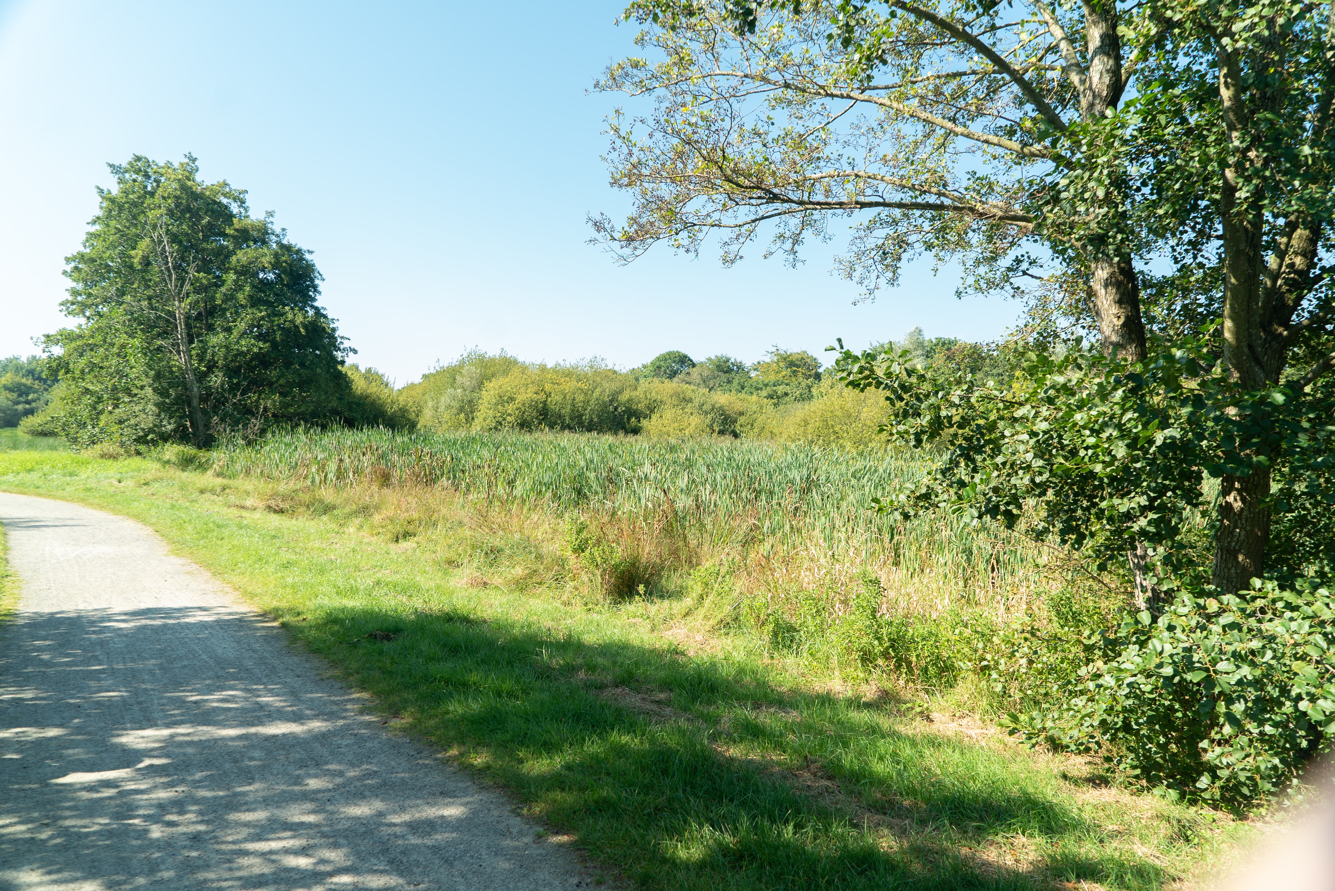 Moorwiesen Cuxhaven – Bild 5