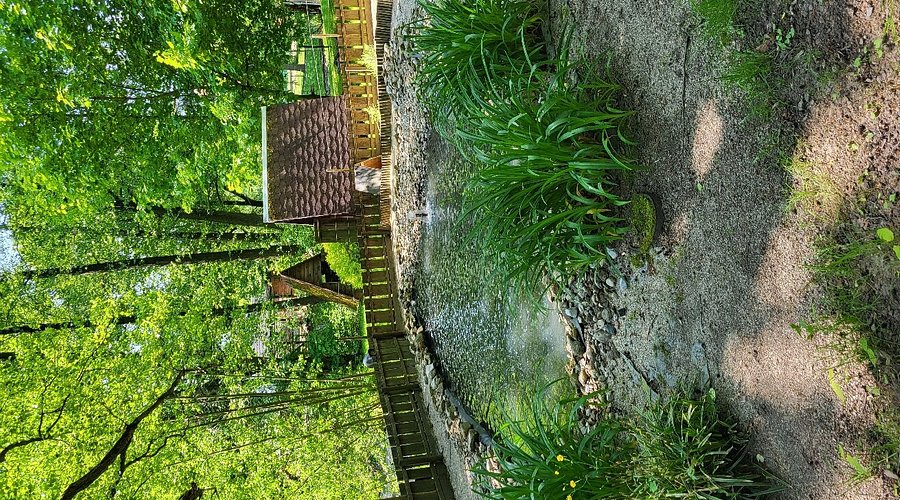 Tierpark Freiberg – Bild 2