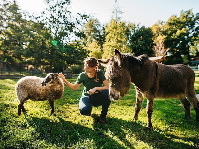 Tierpark Freiberg – Bild 3