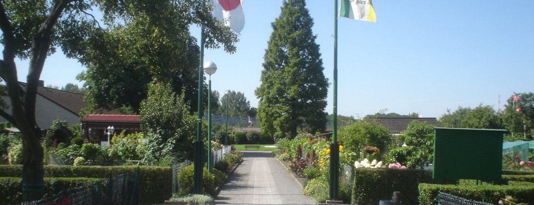 Kleingartenverein - Gartenfreunde 'Dicke Hacke' – Bild 4