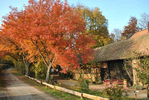 Landgasthof Rote Mühle – Bild 4