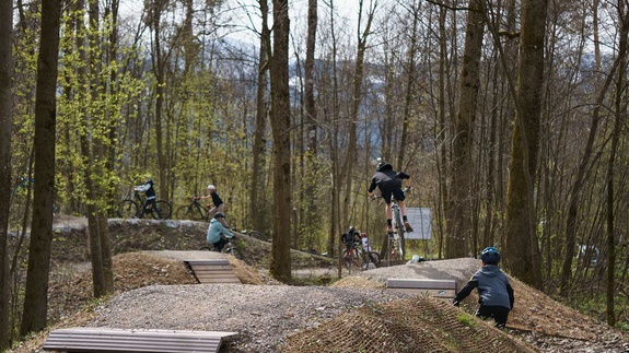 Dirtpark – Bild 2