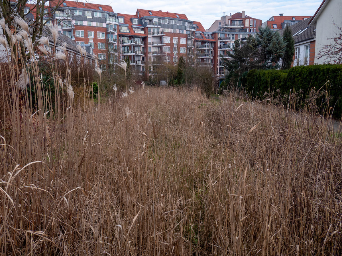 Kletterkunstwerk – Bild 2