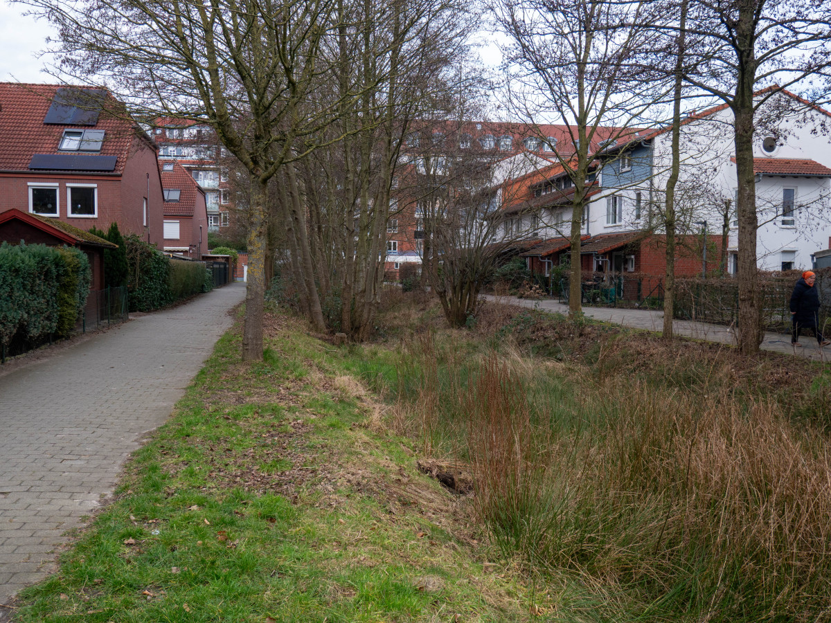 Kletterkunstwerk – Bild 3