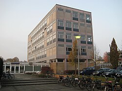 Kletterkunstwerk – Bild 5