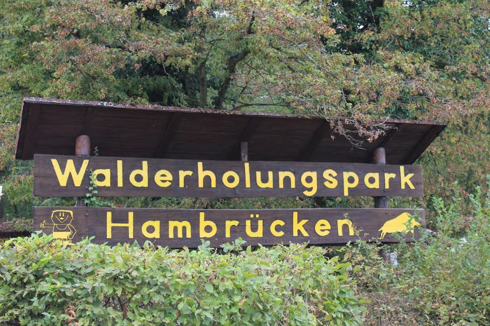 Walderholungspark Hambrücken – Bild 1