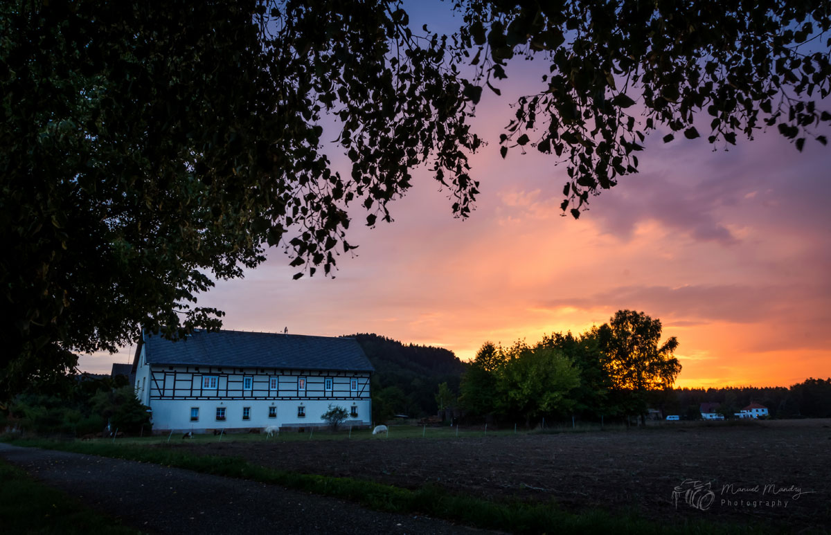 Ferienhof Mandry – Bild 4