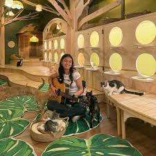 Cleocatra Café - Cat Cafe – Bild 4