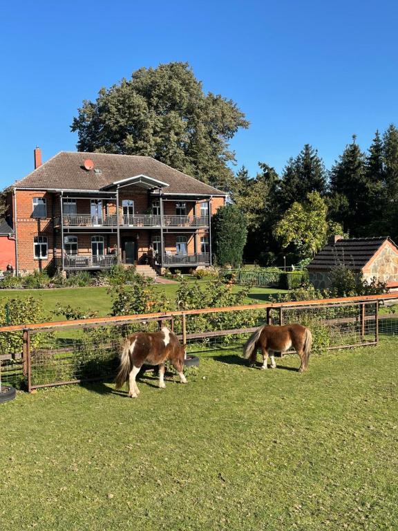 Ferienhof Süllwold – Bild 3