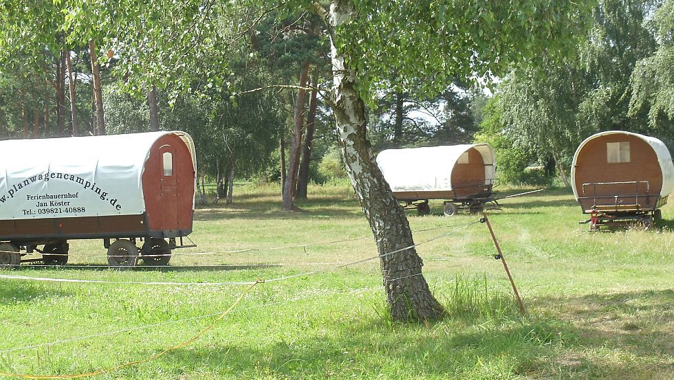 Planwagencamping & Ferienbauernhof Köster – Bild 5