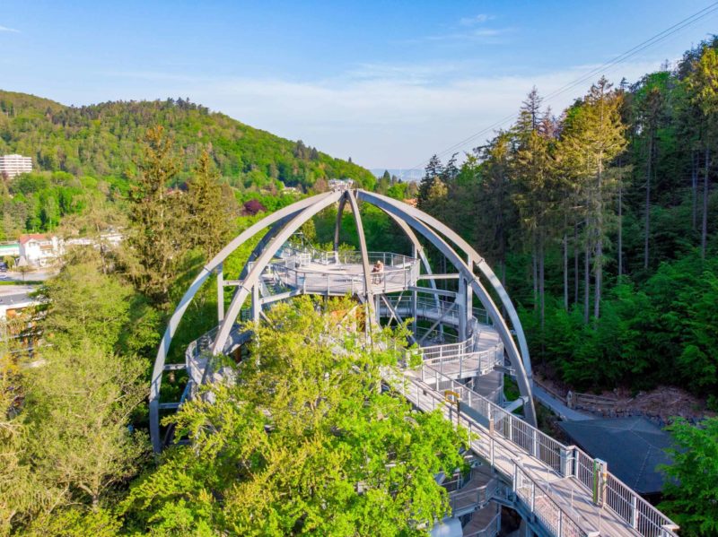 Baumwipfelpfad Harz – Bild 3