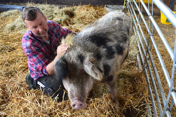 Ferienhof Reigardt Hans Jürgen Reigardt – Bild 3