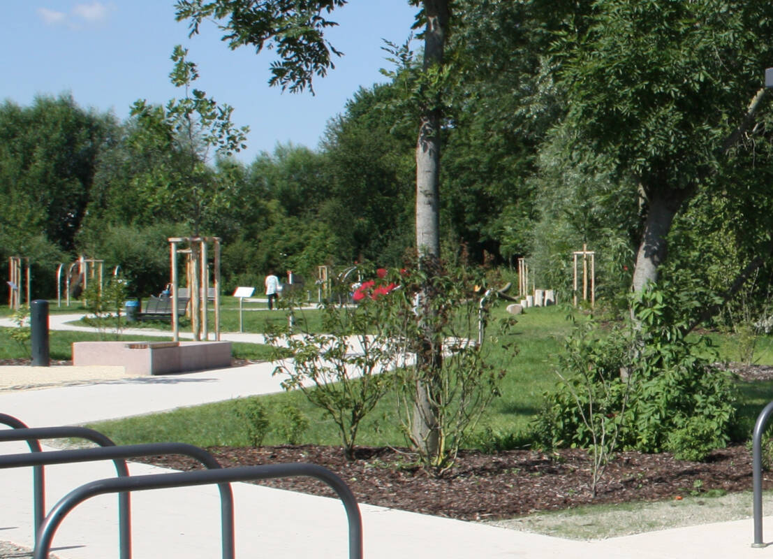 Bewegungspark/Mehrgenerationenpark – Bild 2