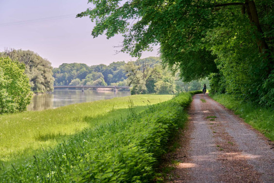 Bewegungspark/Mehrgenerationenpark – Bild 5