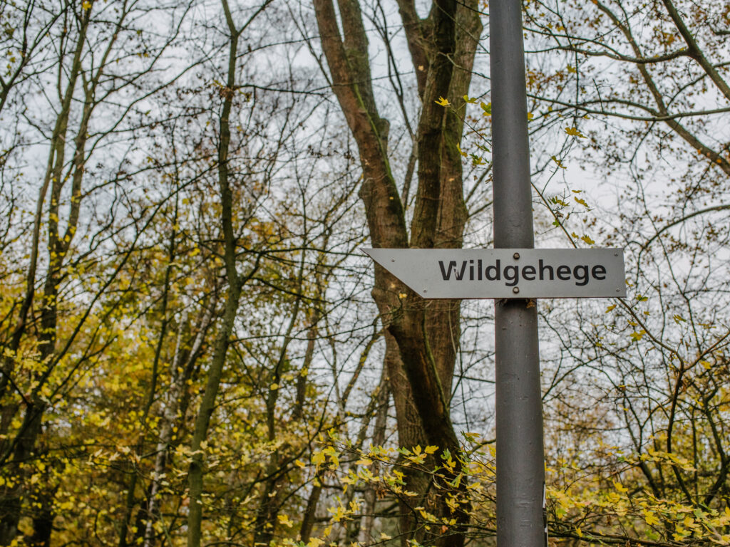 Wildtiergehege – Bild 4