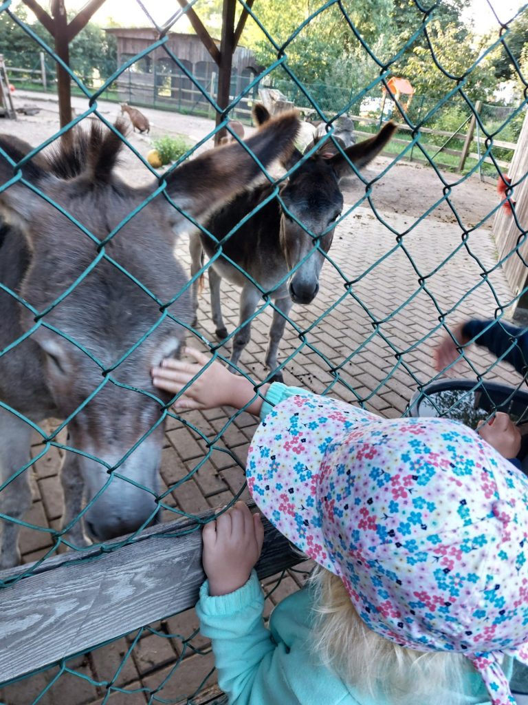Unsere Bauernhofkita – Bild 3