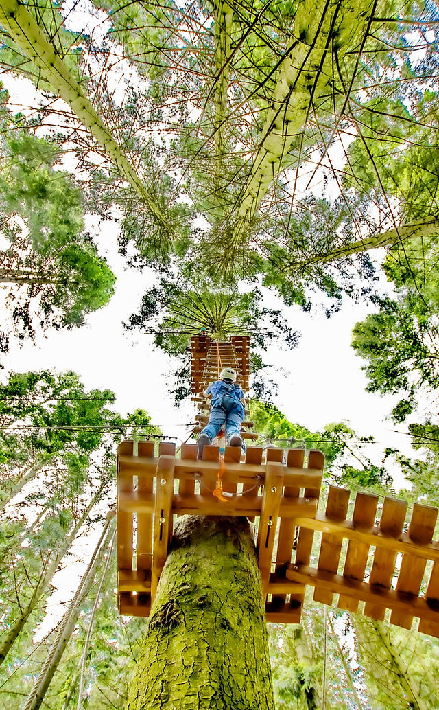 Hochseilgarten Hürtgenwald – Bild 1