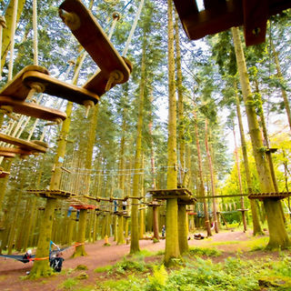 Hochseilgarten Hürtgenwald – Bild 2