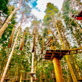 Hochseilgarten Hürtgenwald – Bild 3