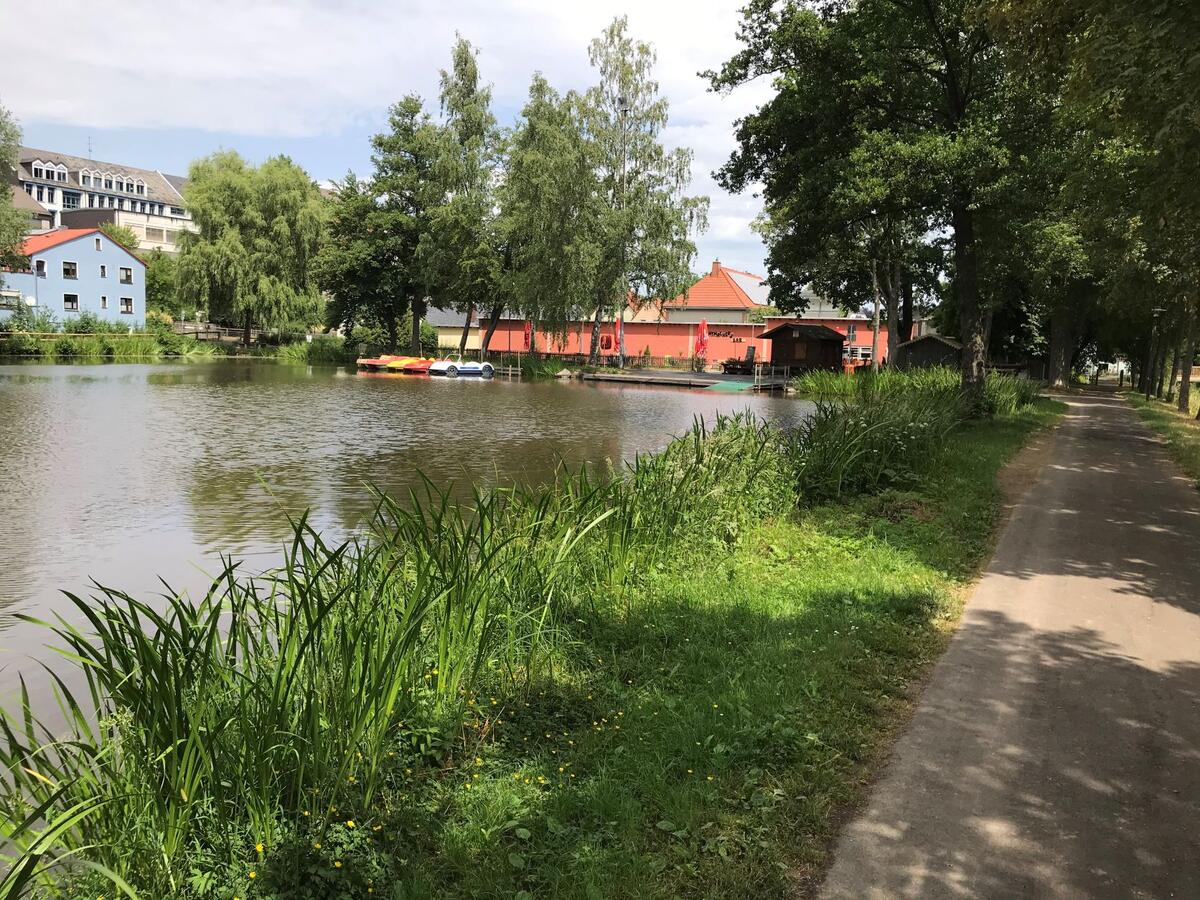 Freizeitgelände am Eisweiher – Bild 5