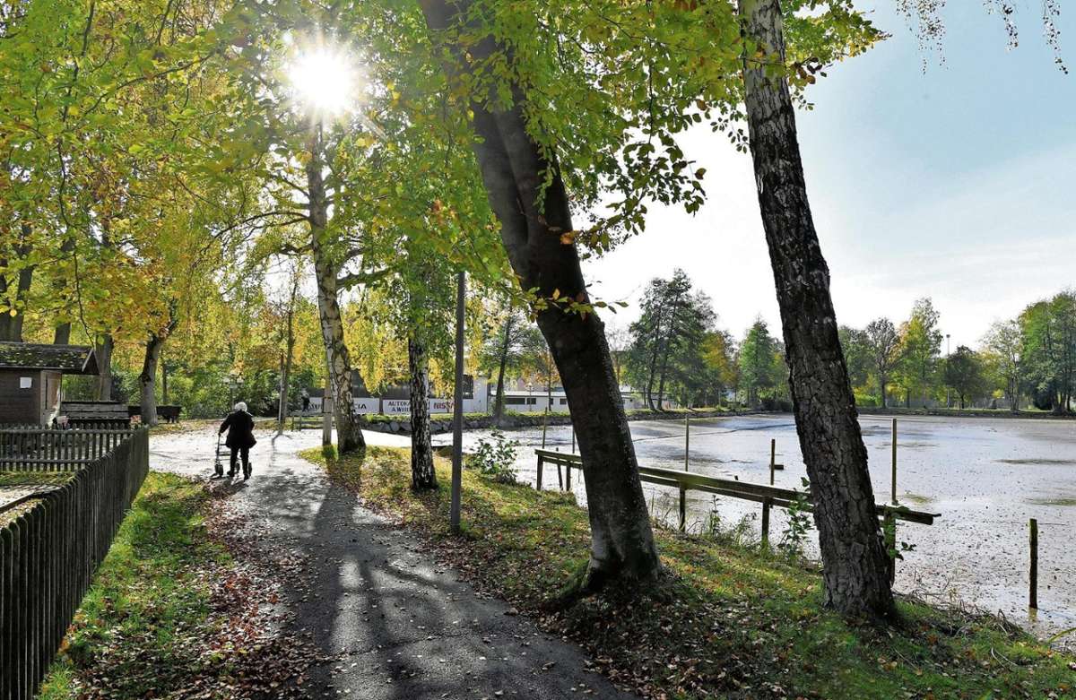 Freizeitgelände am Eisweiher – Bild 6