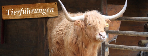 Tierpark Neukölln in der Hasenheide – Bild 5