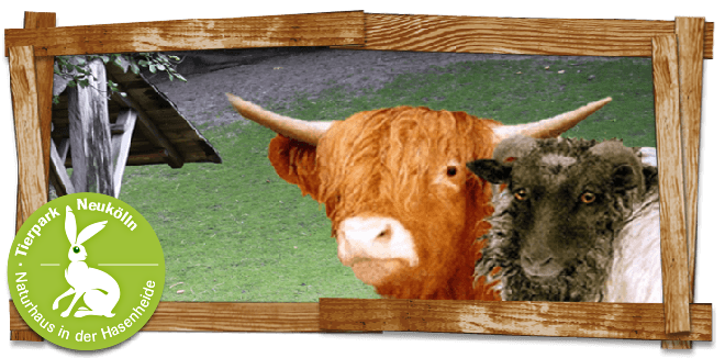 Tierpark Neukölln in der Hasenheide – Bild 6