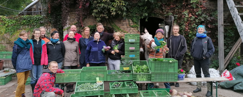 BAUERei Potsdam-Grube e.V., die Solawi für Potsdam – Bild 3