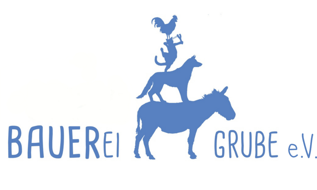 BAUERei Potsdam-Grube e.V., die Solawi für Potsdam – Bild 4