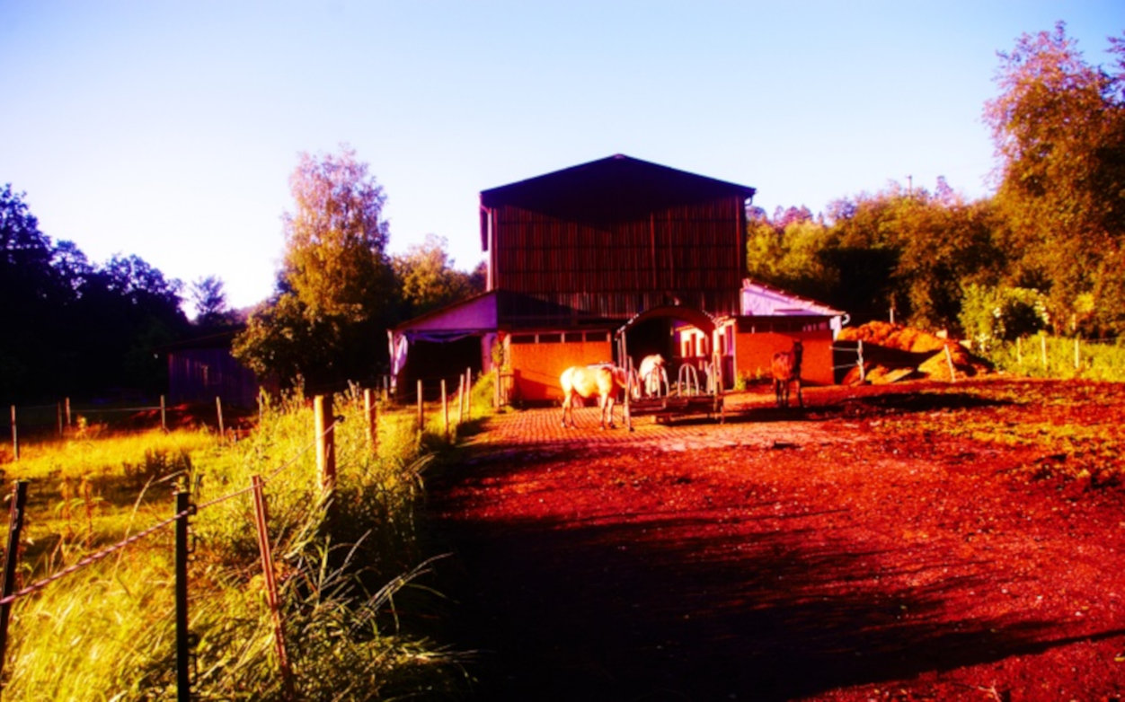 Wilde Ranch – Bild 3