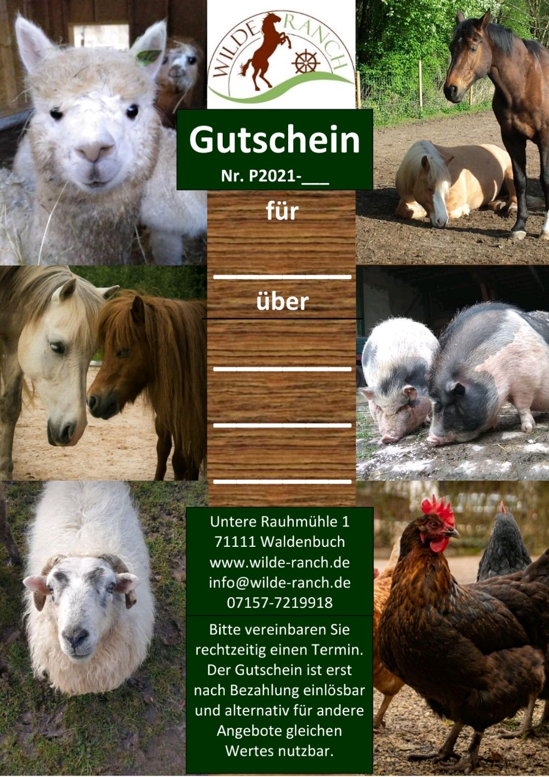 Wilde Ranch – Bild 6