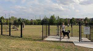 Mackenzie Glen District Park Off-Leash Dog Park – Bild 3