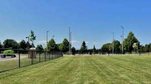 Mackenzie Glen District Park Off-Leash Dog Park – Bild 4