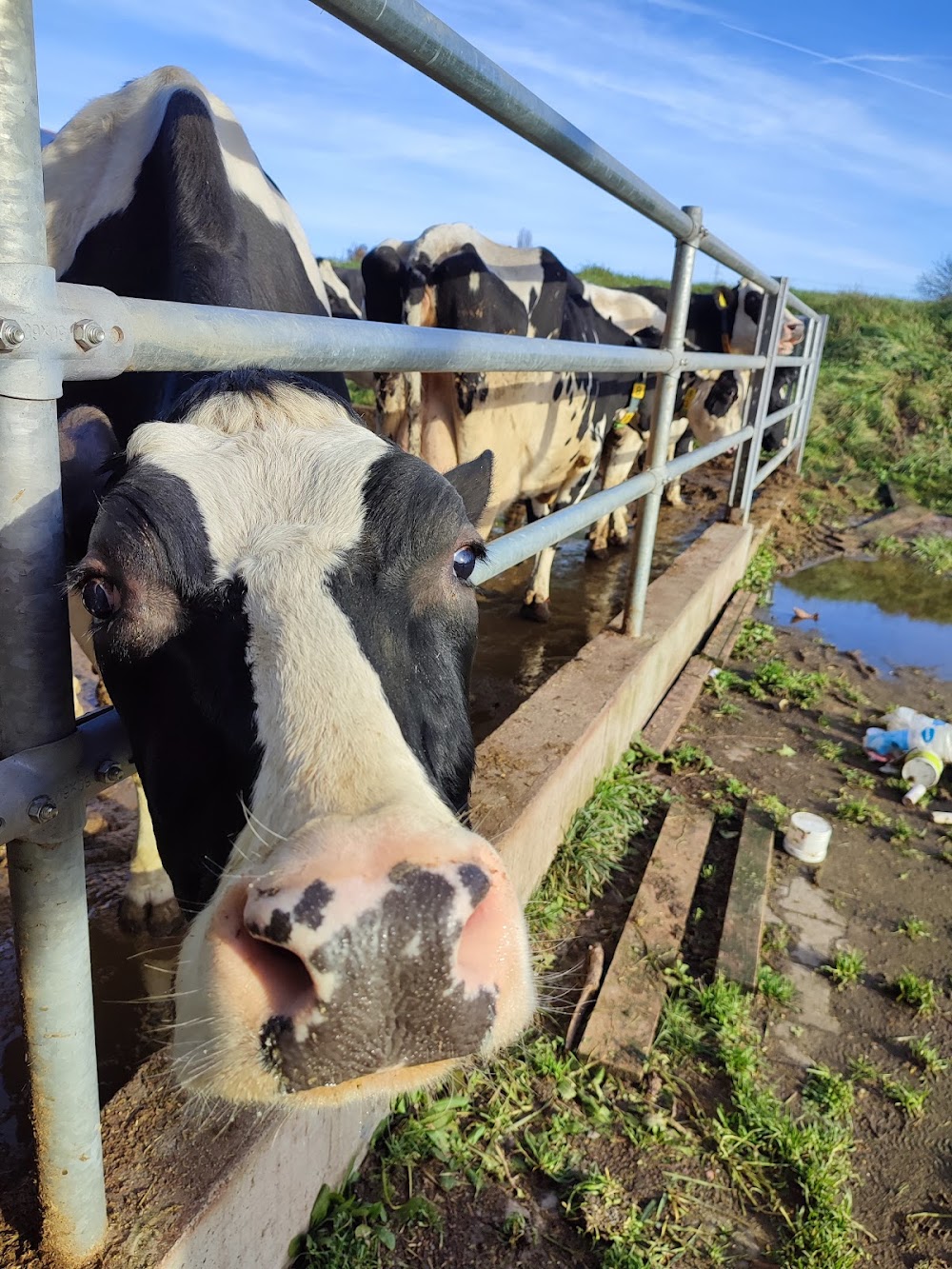 Bauernhof Eppinger – Bild 2